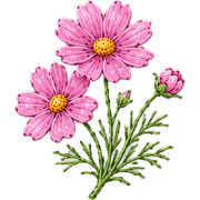 019