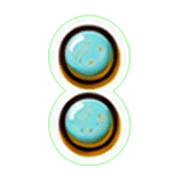 244