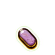 256