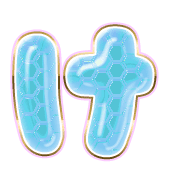 009