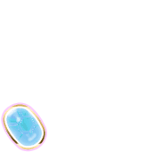 256