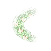 008