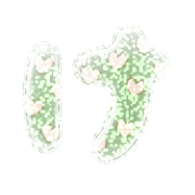 009
