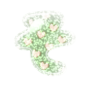 015