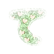 019