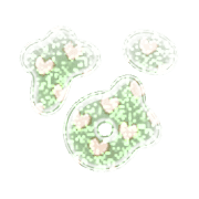 021