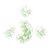 028