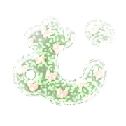 033