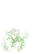 051