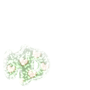 054