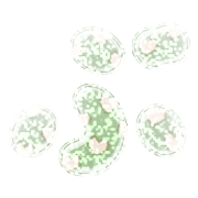 073