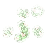 078