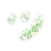 098