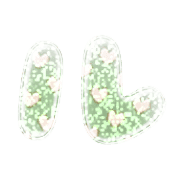 121