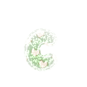190