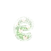 192