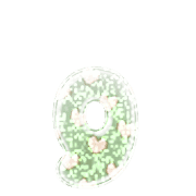 194