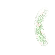 234