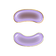 010