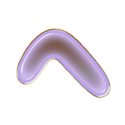029