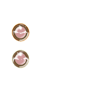 244