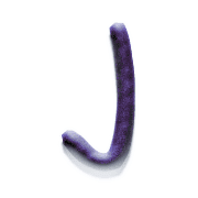 010