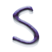 019