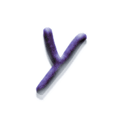 051
