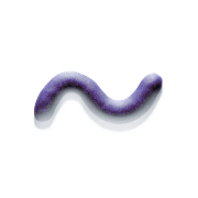063