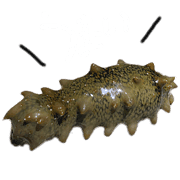 037