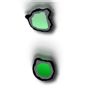 244