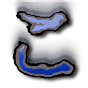010