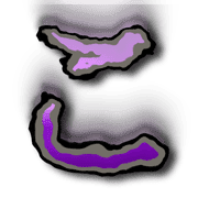 010