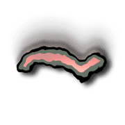 224