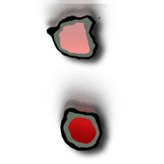 244