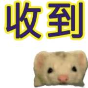 002