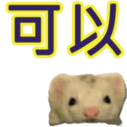 005