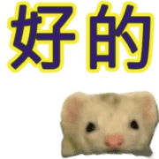 006