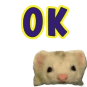 007