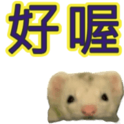 008