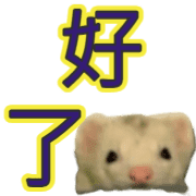010