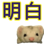 011