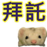 013