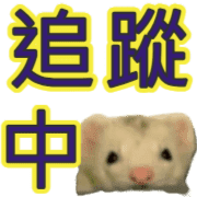 020