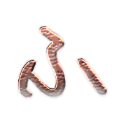 028
