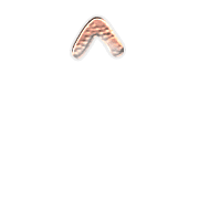 231