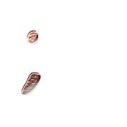 243