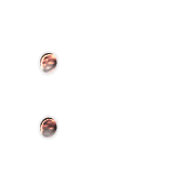 244