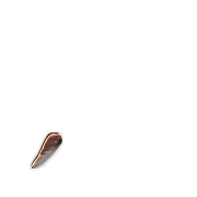 245