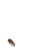 256